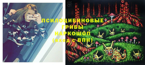 ГАЛЛЮЦИНОГЕННЫЕ ГРИБЫ Абдулино
