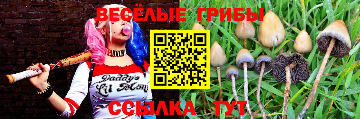 Новочеркасск  Галлюциногенные грибы Magic Shrooms  Вход с VPN 